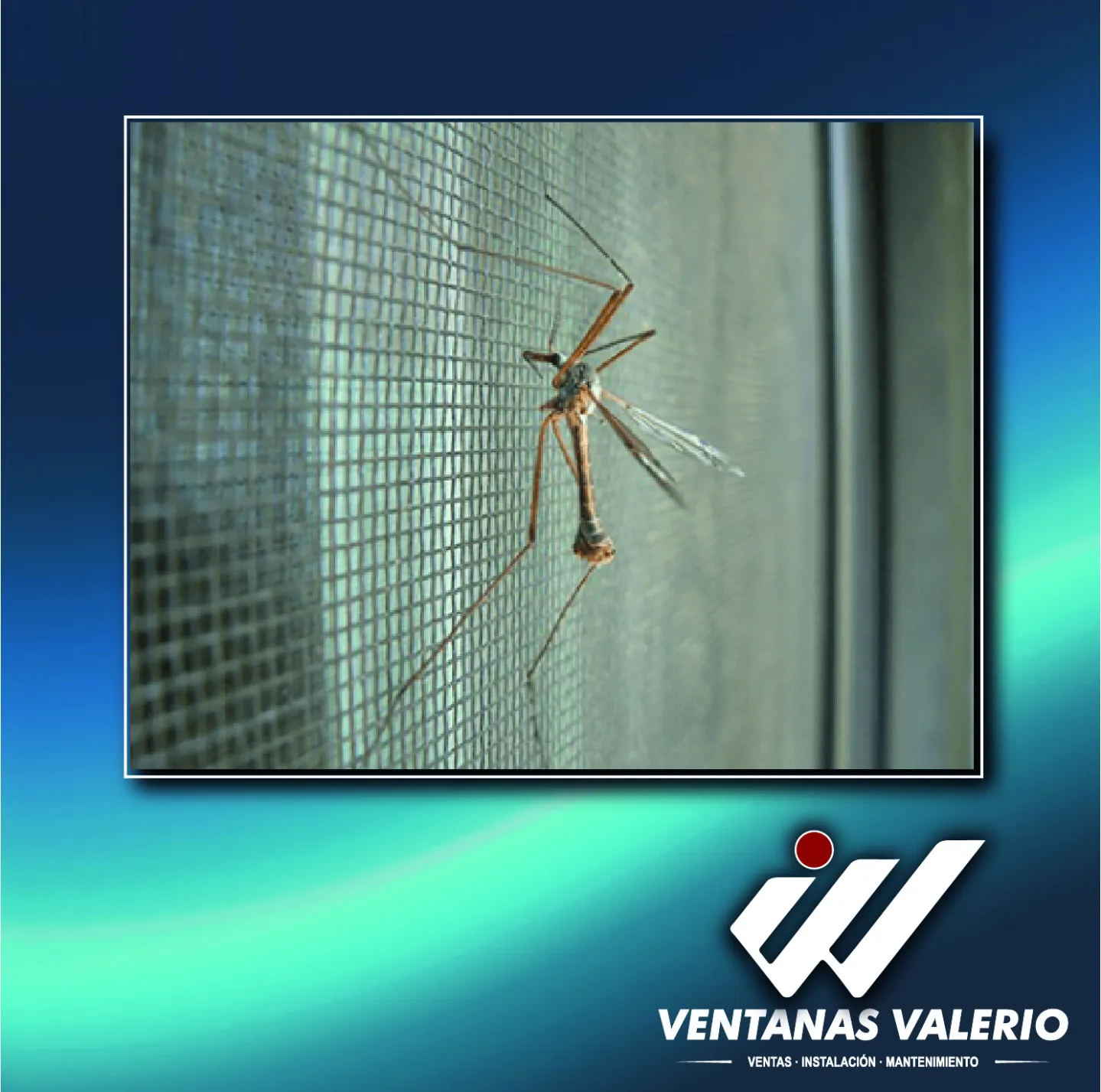 Mosquiteras | Protección total